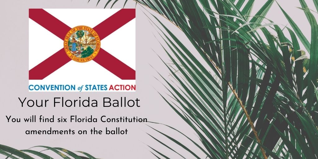 Six amendments on the Florida ballot in 2020 COSAction