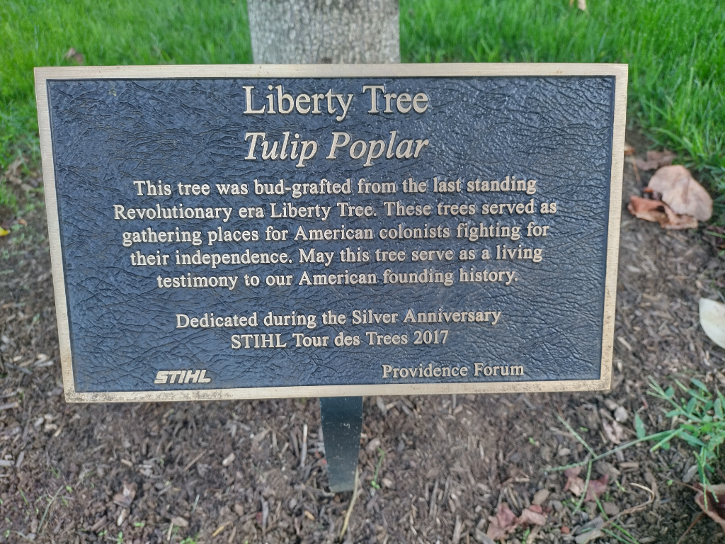 Liberty Takes Root! - COSAction